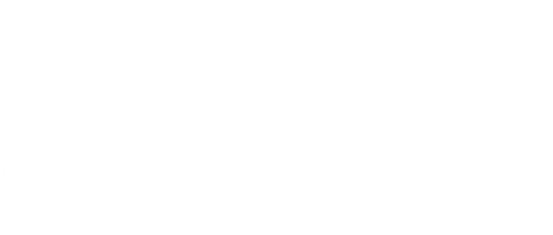 Salma e o Grande Sonho