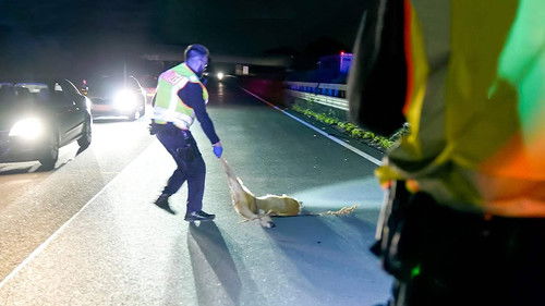 Image de l'épisode 4