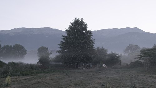 The Last Nomad image 6