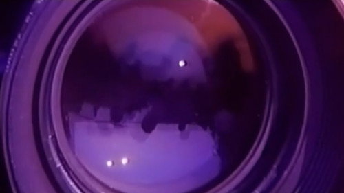 Turtle Vision — still 13