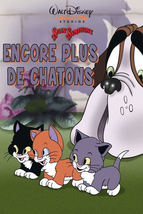 Encore plus de Chatons