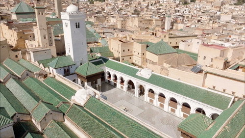 Les trésors oubliés de la médecine arabe