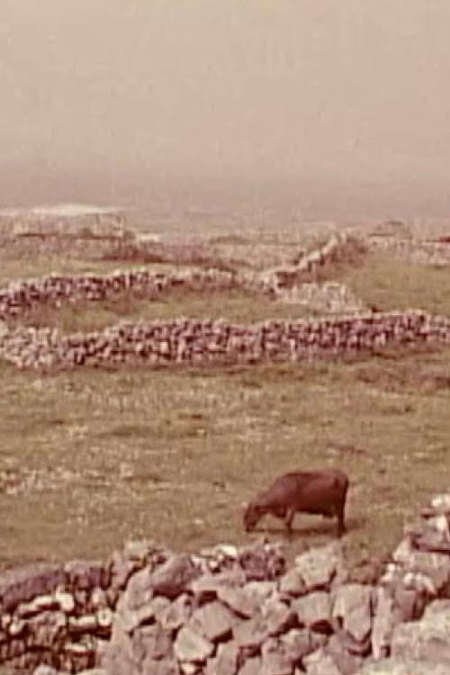 Harry Mantel’s Vignettes: Irish Fishermen