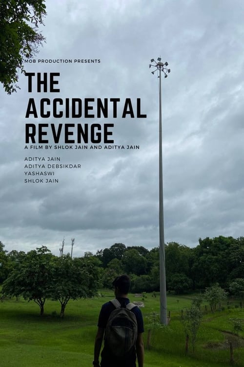 The Accidental Revenge (2023) poster