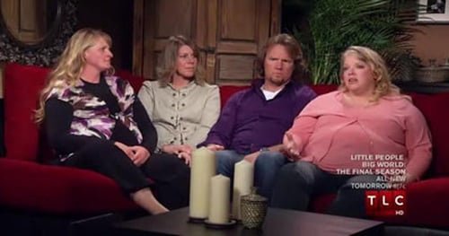 Poster della serie Sister Wives