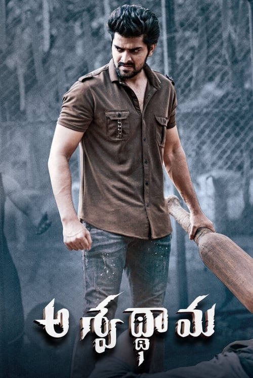 Aswathama Movie Poster Image