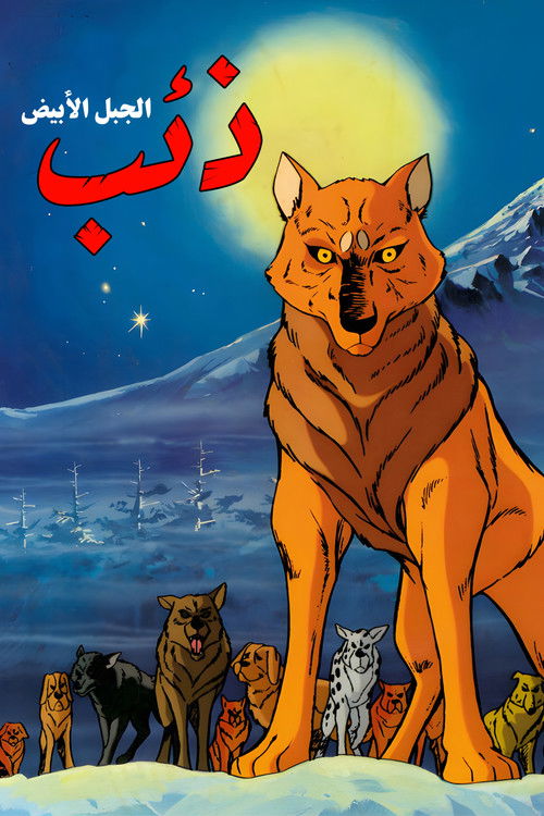 ذئب الجبل الأبيض