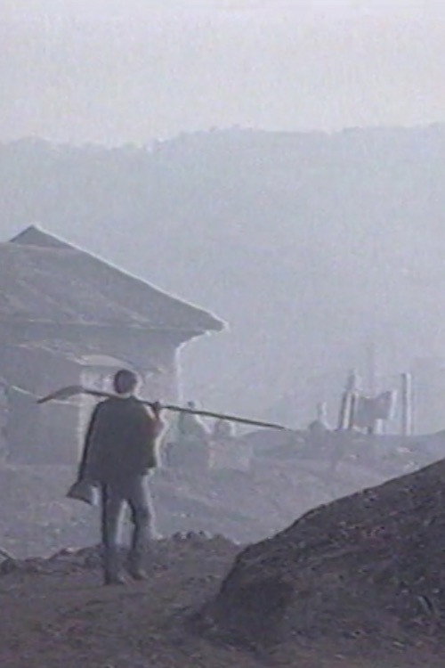 Póster oficial de Big Tree County (1993) - Documentary