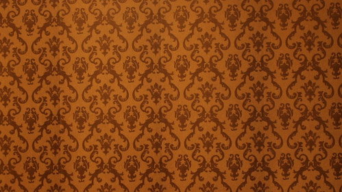 Bem-me-quer Backdrop Blur