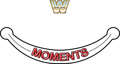WWE Funniest Moments