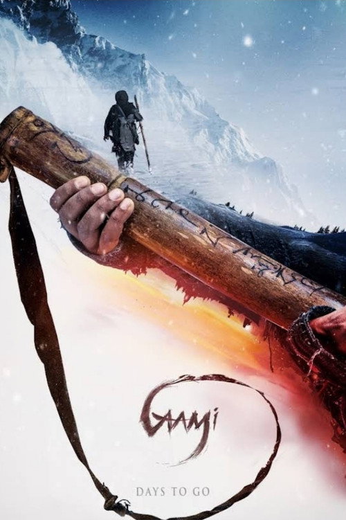 Gaami poster