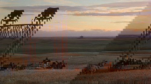 Backdrops