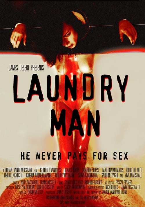 Laundry Man Movie Poster Image
