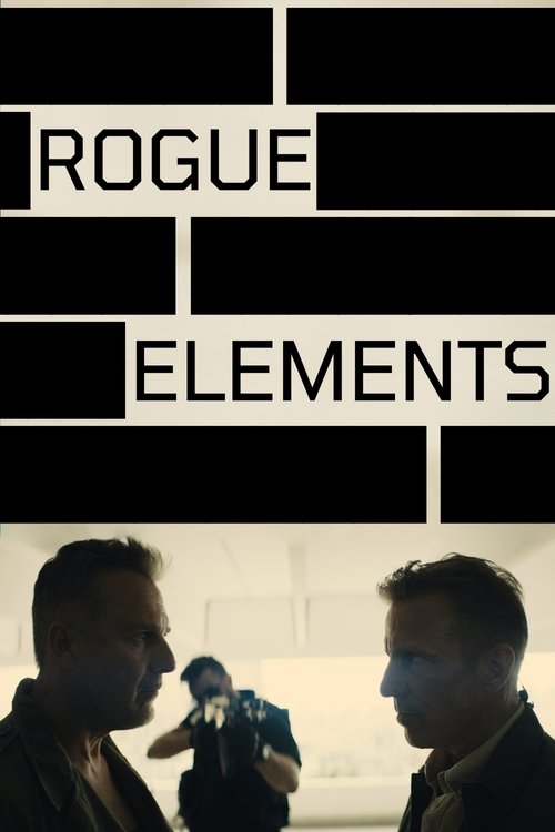 Poster 3