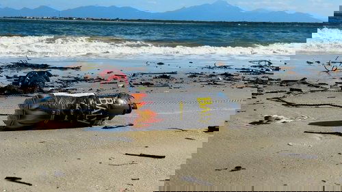 Perder Raízes image 1