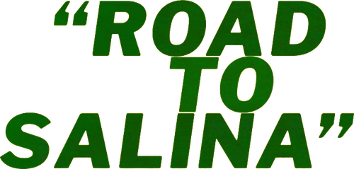 Road to Salina