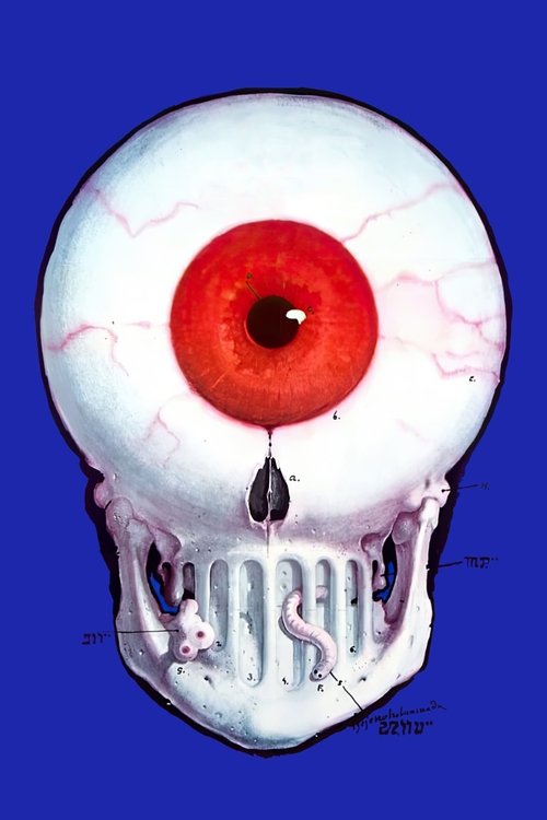 The Hourglass Sanatorium poster