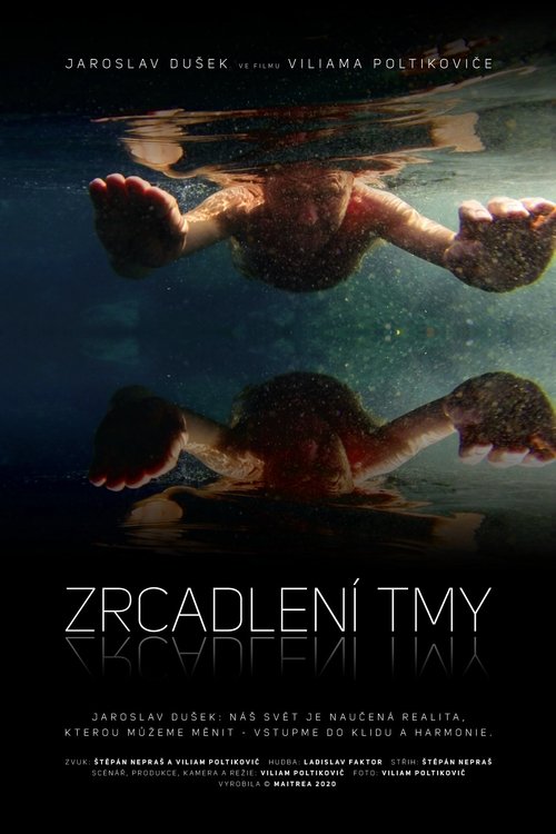 Zrcadlení tmy 2020