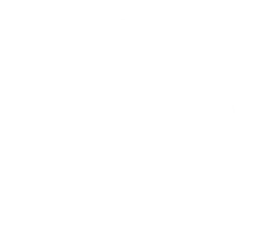 Planeta Gelado II - Logo 5