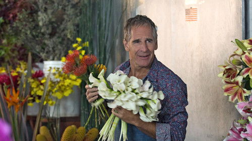 Looking for $220/Hour