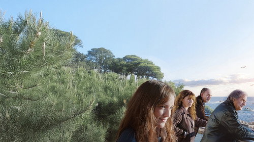 The House by the Sea