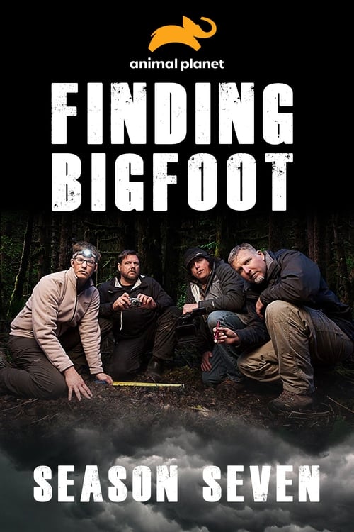 Where to stream Finding Bigfoot Season 7