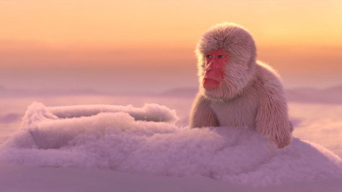 Кадр из Onsen
