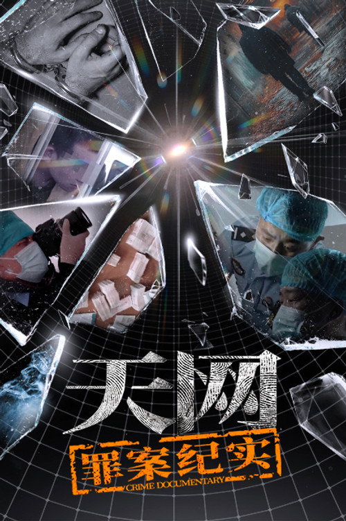 天网 - Season 1 Poster Blur