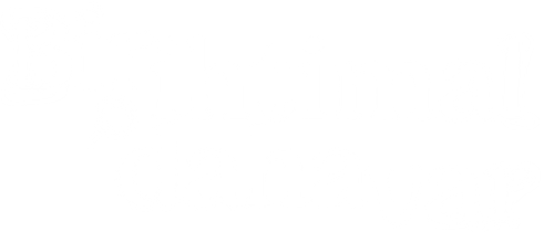 Bir İhtimal Daha Var logo