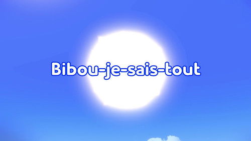 Bibou-je-sais-tout