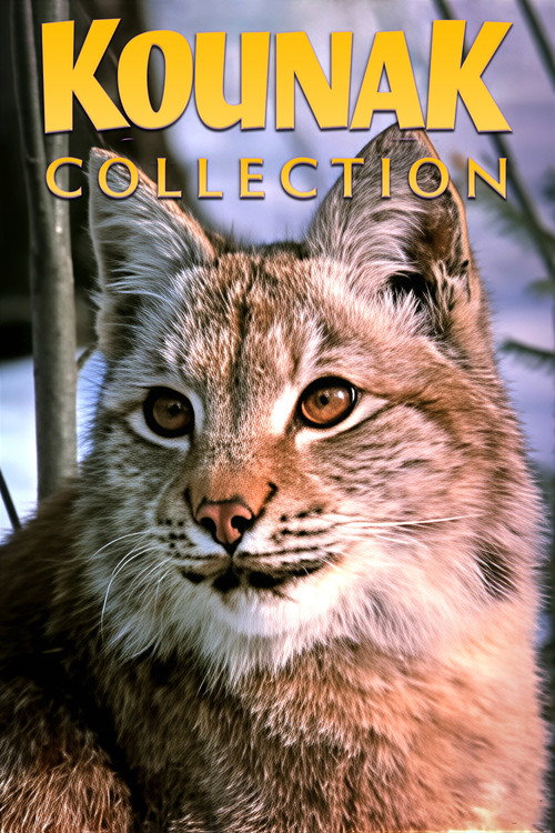 Kounak Collection