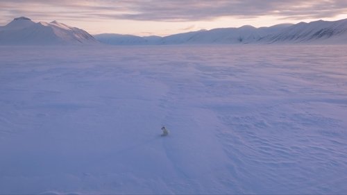 movie backdrop 5