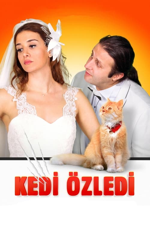 Kedi Özledi (2013) poster