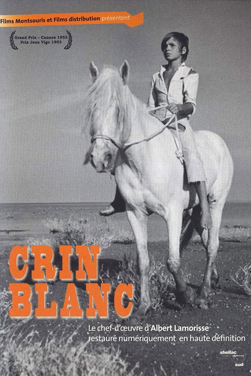 White Mane poster