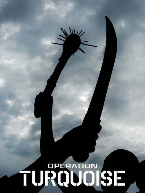 Opération Turquoise (2007) poster