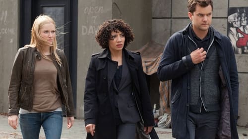 Fringe: 5×1