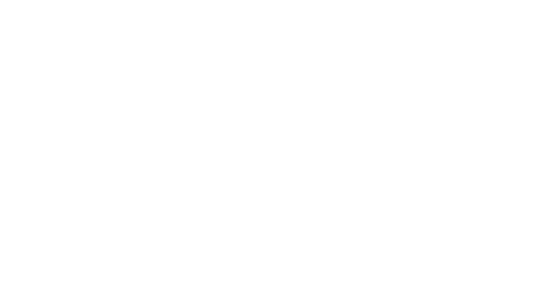 Big Little Brawlers