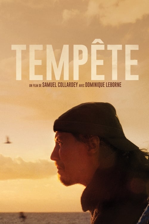  Tempête - 2015 