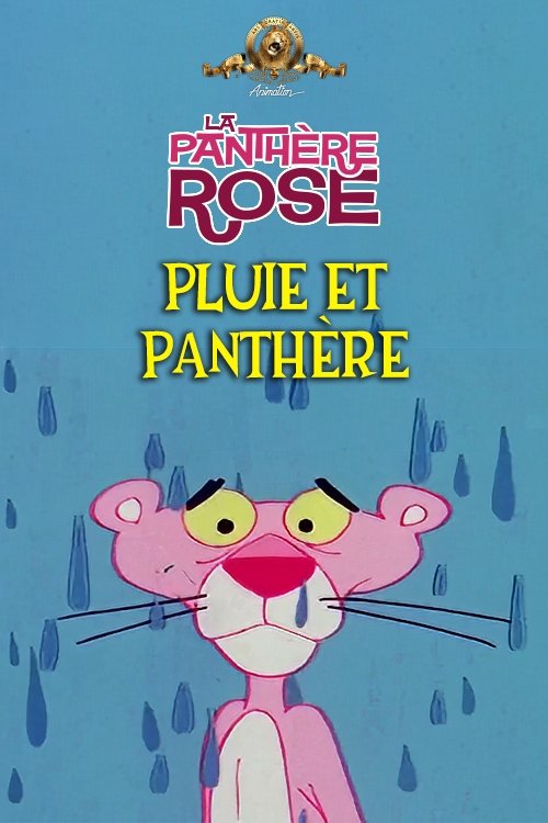 Poster of : Pluie Et Panthère