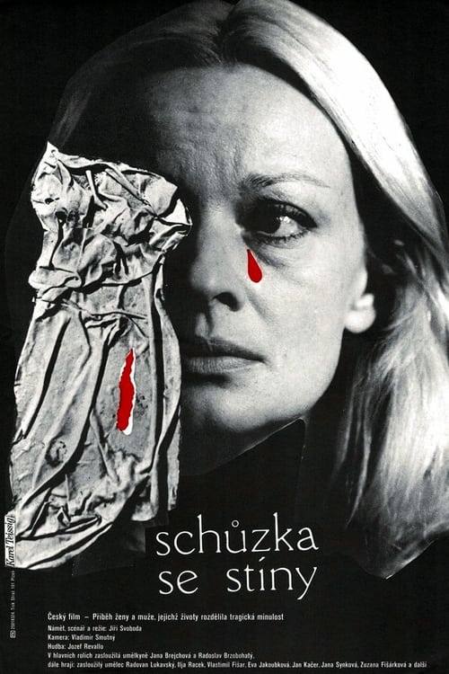 Schůzka se stíny (1983)