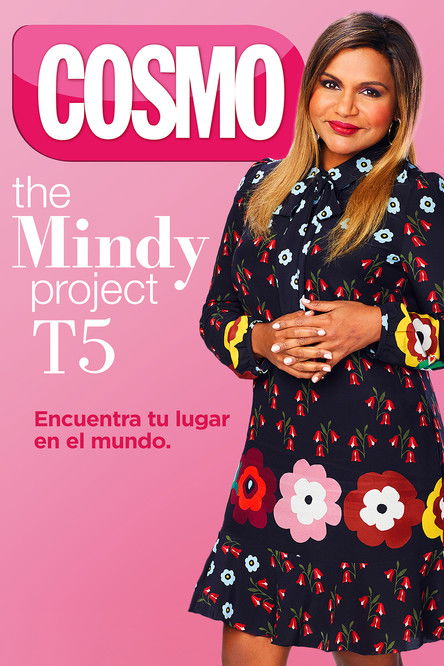 Póster de la temporada 5 de la serie The Mindy Project