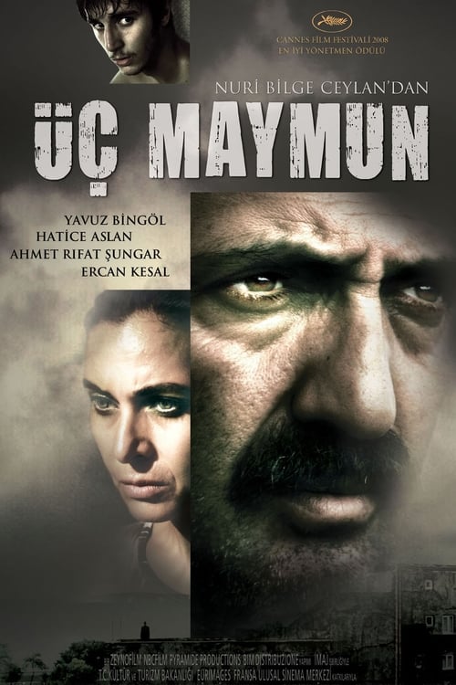 Üç maymun (2008) poster