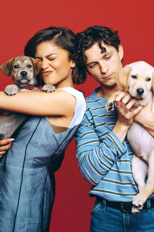 Celebs Play With Puppies & Kittens poster