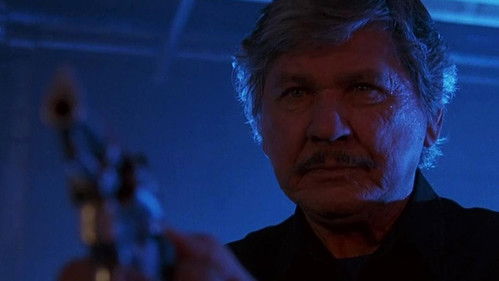 Desejo de Matar 5 – A Face da Morte Torrent BluRay (1994) Dublado e Legendado