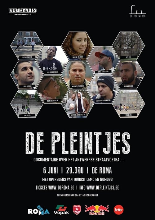 De pleintjes (2014)