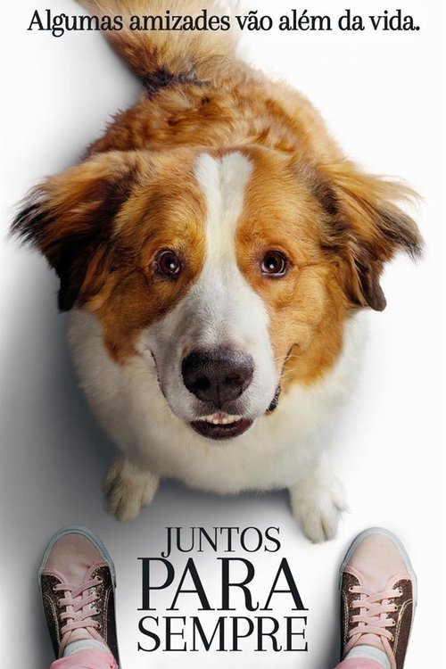 Juntos para Sempre movie poster player