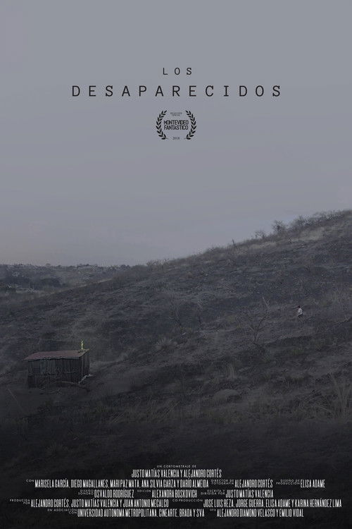 Poster de Los desaparecidos