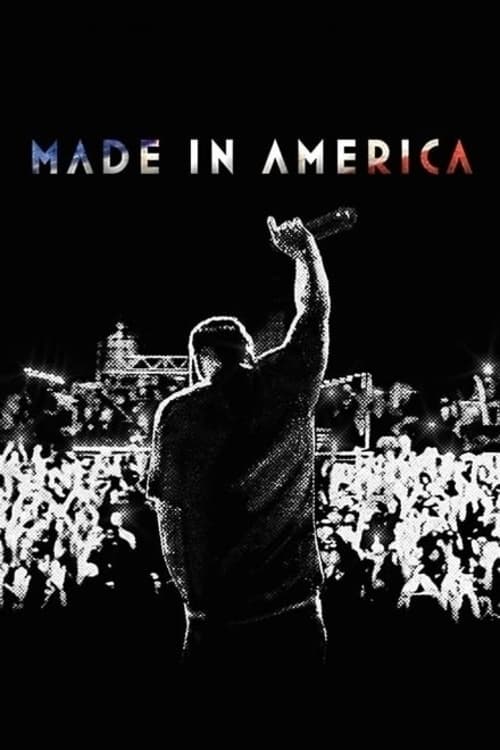 Made in America (2013) poster