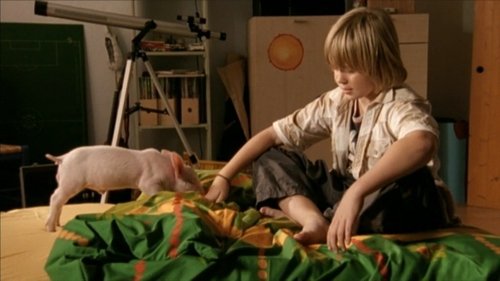 Image de l'épisode 13