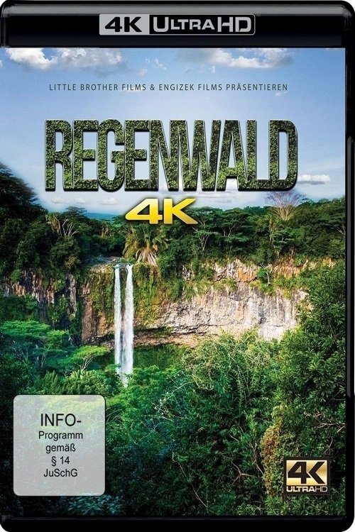 Hoh Rain Forest movie poster player